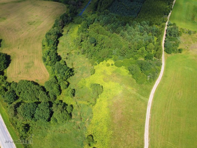 Parduodamas 1,5ha sklypas gražioje vietoje Jodėnų k.