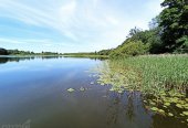 Parduodamas 68 arų žemės sklypas 100 metrų atstumu nuo Plaštakos ežero