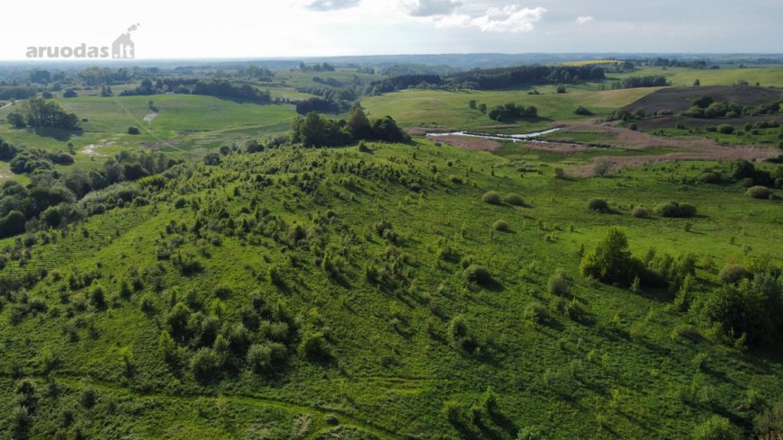 Parduodama vaizdinga vieta, šalia ežeras Gabys, žemės ūkio paskirtis