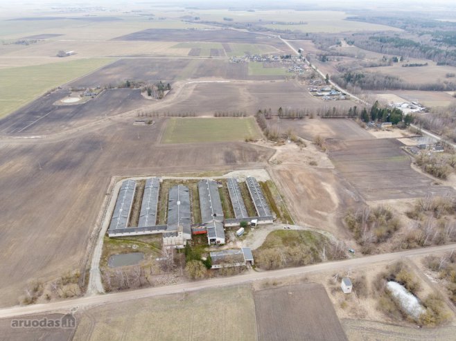 Parduodamas fermos kompleksas, susidedantis iš 6 fermų pastatų bei pagalbinio ūkio pastatų.