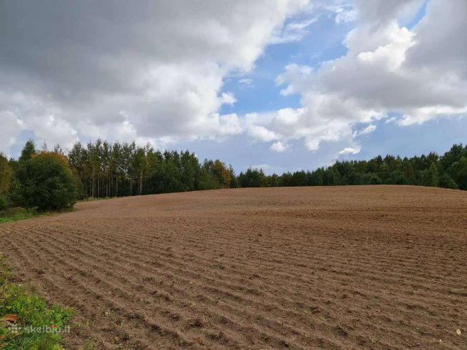 Širvintų r. sav., Sudokių k., Ąžuolų g., miškų ūkio, žemės ūkio paskirties sklypas