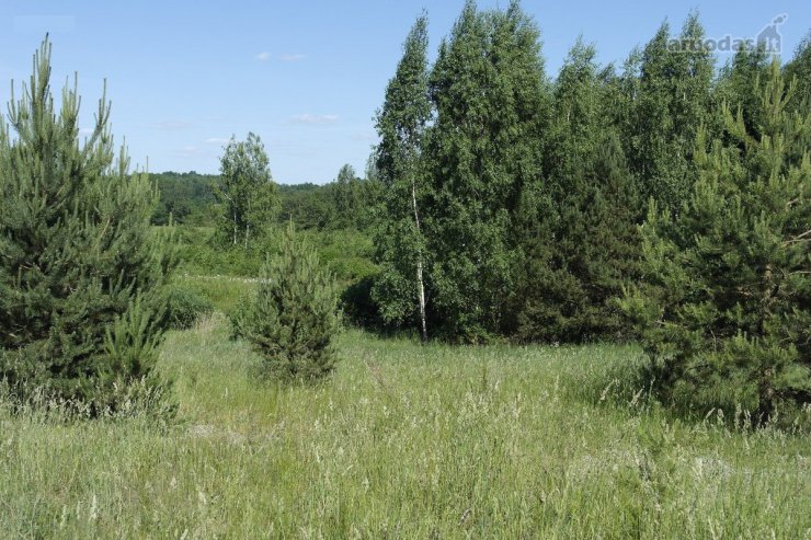 Parduodamas 3,71 ha sklypas gamtoje netoli Širvintų.