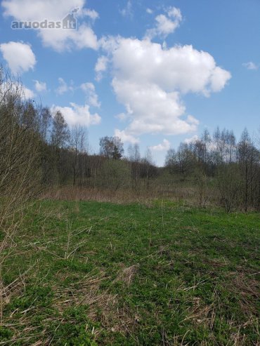 Lavariškių regioniniame parke parduodamas 2.24 ha žemės ūkio paskirties sklypas