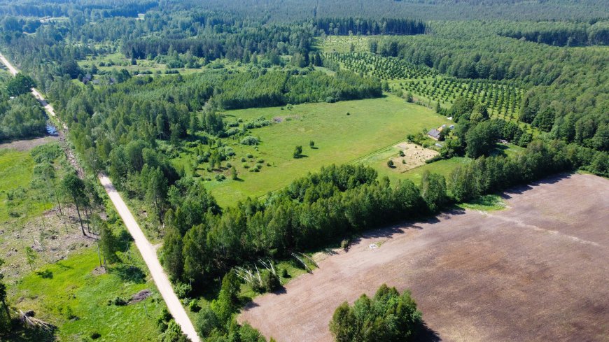 PARDUODAMA SODYBA MIŠKO PAŠONĖJE LODIŠKĖS KAIME KAZLŲ RŪDOS SAVIVALDYBĖJE