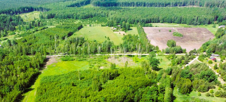 PARDUODAMA SODYBA MIŠKO PAŠONĖJE LODIŠKĖS KAIME KAZLŲ RŪDOS SAVIVALDYBĖJE