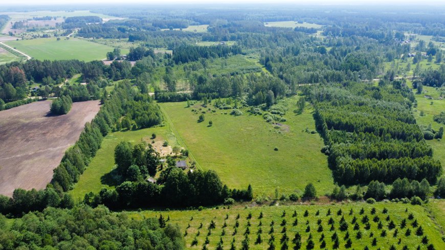 PARDUODAMA SODYBA MIŠKO PAŠONĖJE LODIŠKĖS KAIME KAZLŲ RŪDOS SAVIVALDYBĖJE