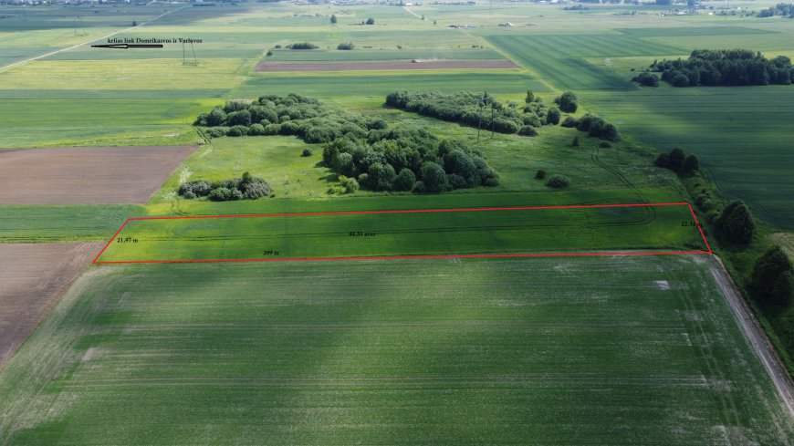 NETOLI NUO MIESTO VOS UŽ DOMEIKAVOS RAŽIŲ KAIME PARDUODAMAS ŽEMĖS SKLYPAS