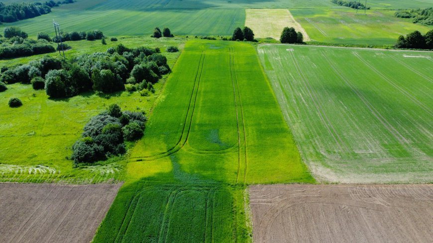 NETOLI NUO MIESTO VOS UŽ DOMEIKAVOS RAŽIŲ KAIME PARDUODAMAS ŽEMĖS SKLYPAS