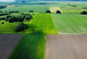 NETOLI NUO MIESTO VOS UŽ DOMEIKAVOS RAŽIŲ KAIME PARDUODAMAS ŽEMĖS SKLYPAS