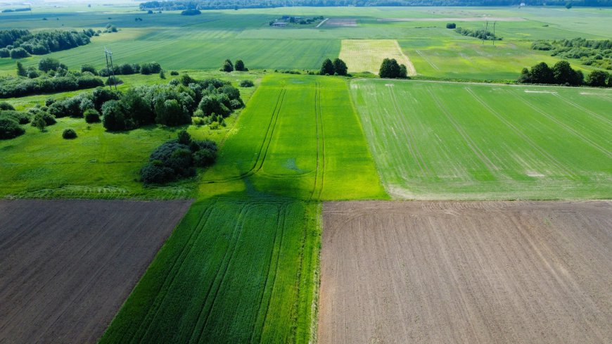 NETOLI NUO MIESTO VOS UŽ DOMEIKAVOS RAŽIŲ KAIME PARDUODAMAS ŽEMĖS SKLYPAS